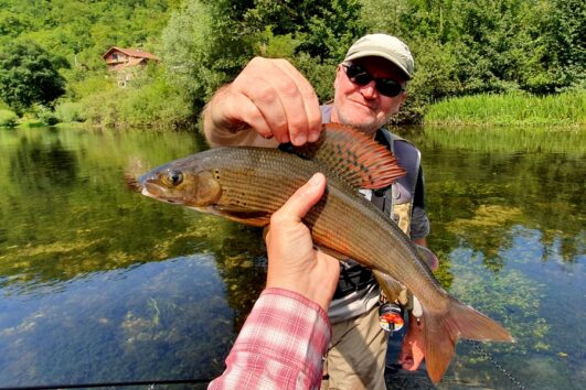 Voyage de pêche en Bosnie