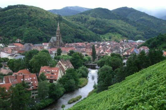Séjour de pêche en Alsace
