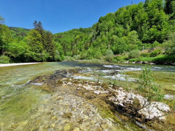Copyright © Fishing Adventures SARL - Tous droits réservés