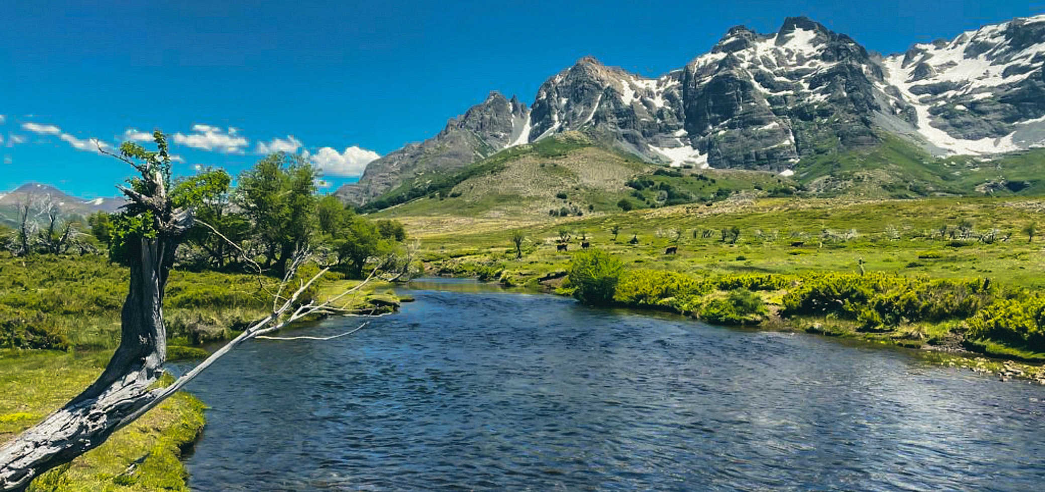 Voyage de pêche en Argentine