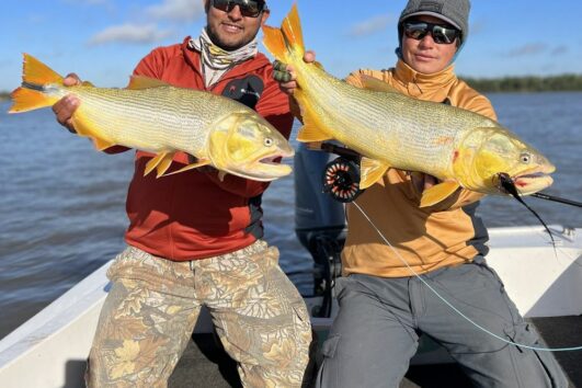 Voyage de pêche en ARGENTINE (Acompte)