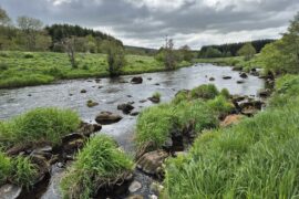 Voyage de pêche en Écosse